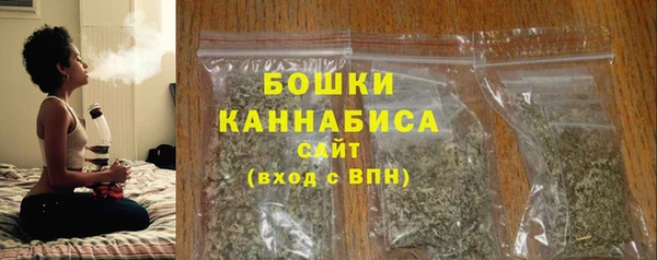 бошки Бронницы